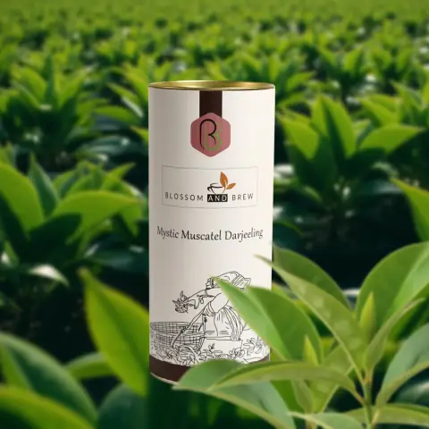 Mystic Muscatel Darjeeling