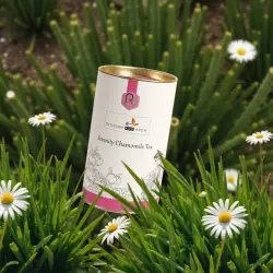 chamomile-M.webp